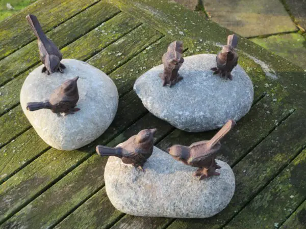 Twee vogeltjes op een steen, kei TT169V - Afbeelding 6