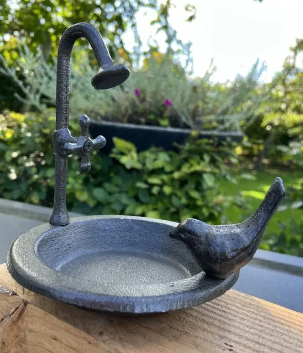 Vogelschaal, vogelbad met vogel en douche, gietijzer    VB182