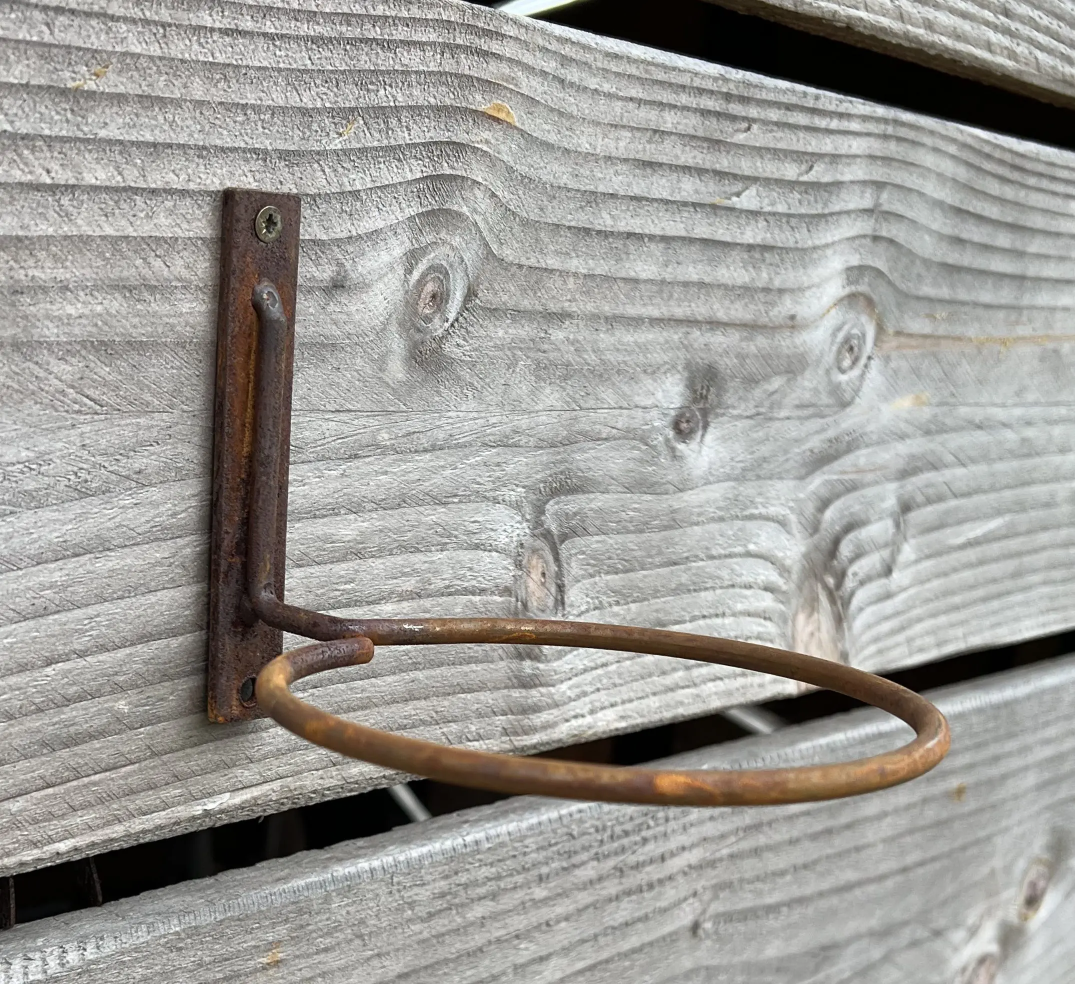 Bloempothouder, muurhanger, eenvoudig, metaal BPH220 - Afbeelding 2