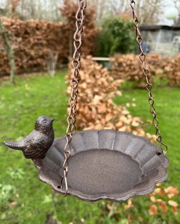Vogelschaal, vogelbad met vogel, hangend FB378