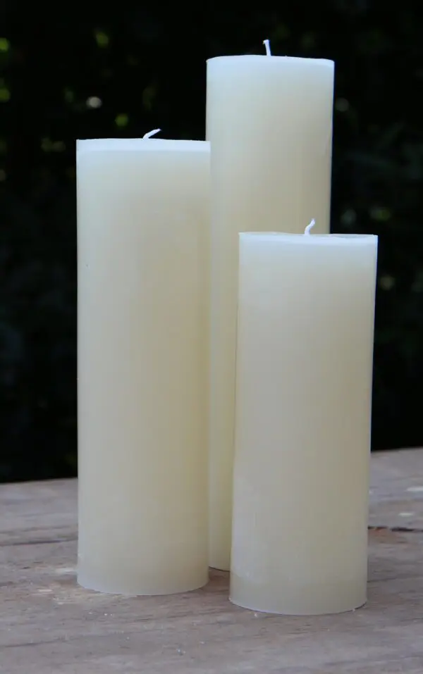 Krulkaarsen, Bika kaarsen, set van 3, champagne, glad  333148