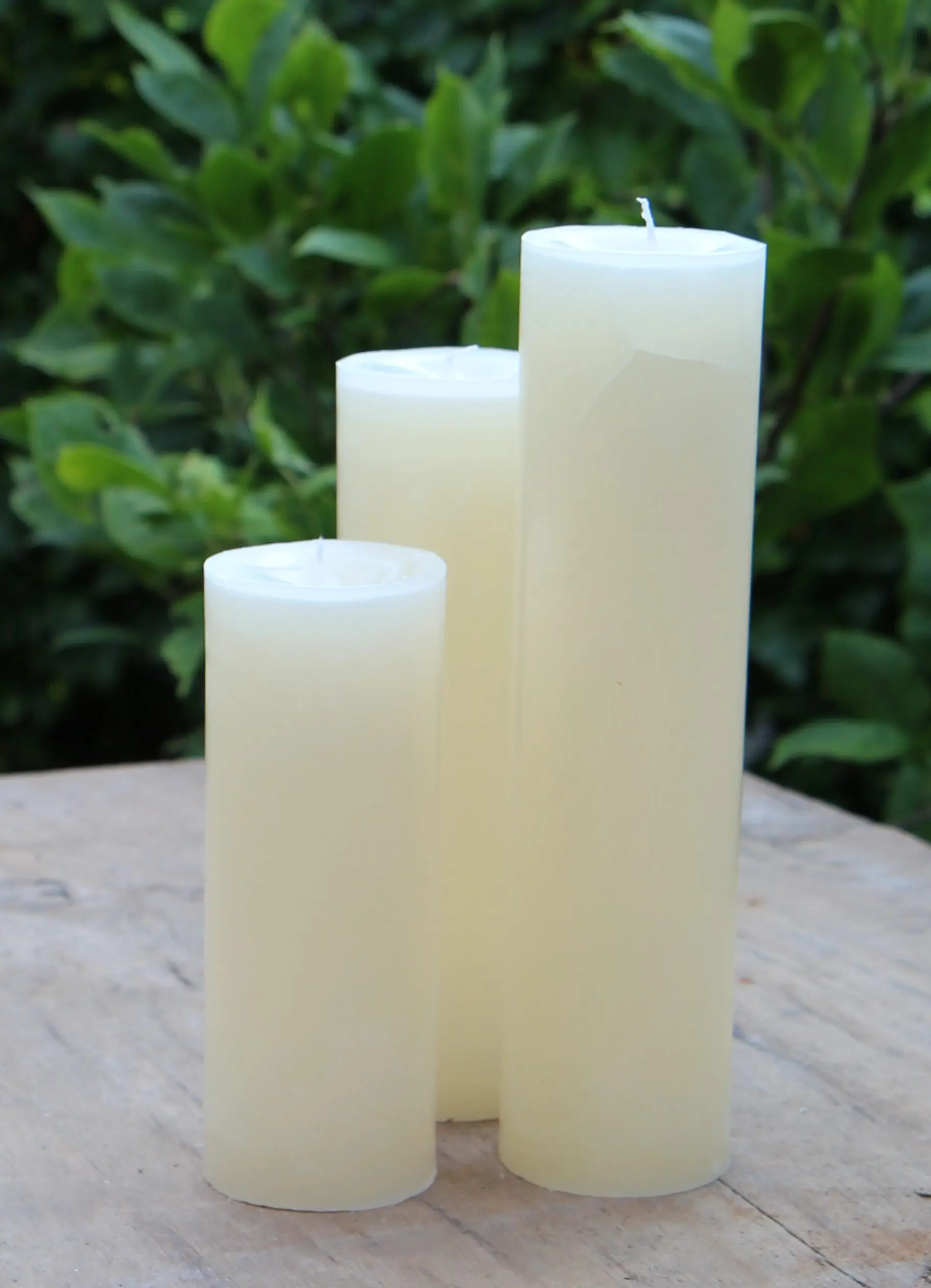 Krulkaarsen, Bika kaarsen, set van 3, champagne, glad  333148 - Afbeelding 2