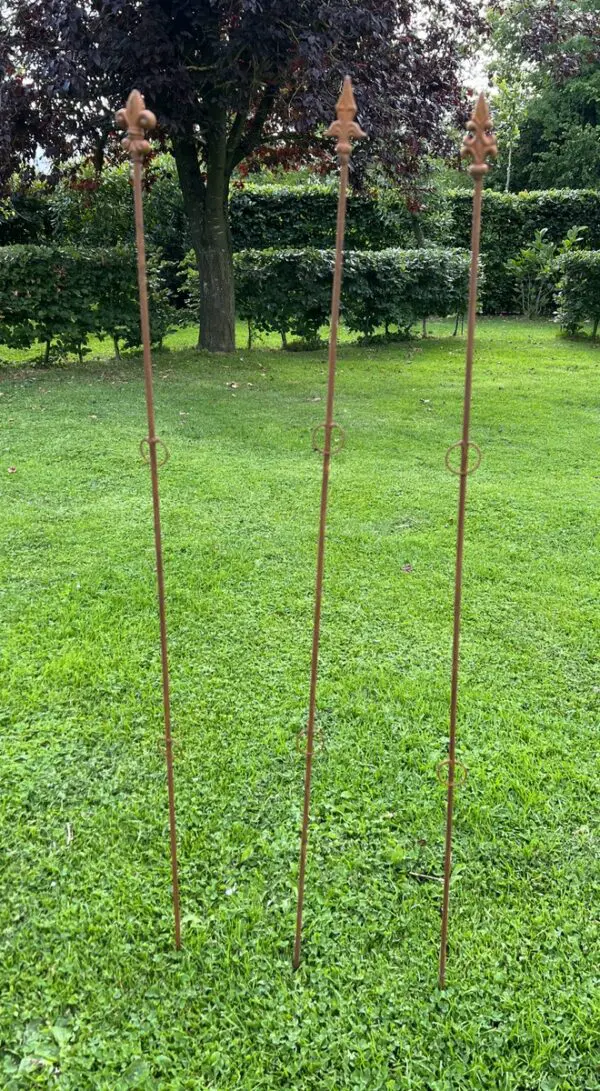 Plantensteun Franse Lelie met 2 ogen, 114,5 cm. PS530 - Afbeelding 5
