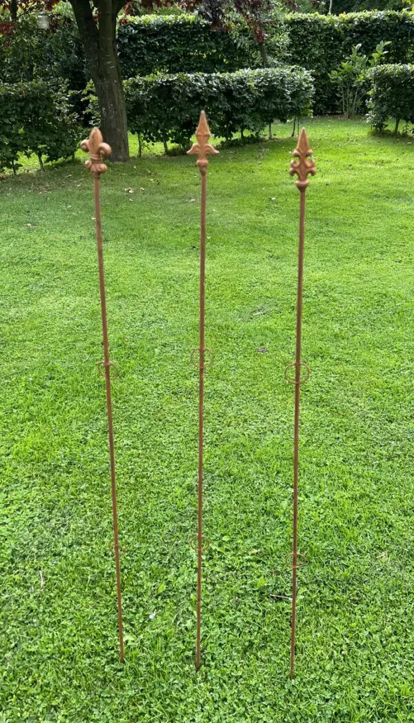 Plantensteun Franse Lelie met 2 ogen, 114,5 cm. PS530 - Afbeelding 6