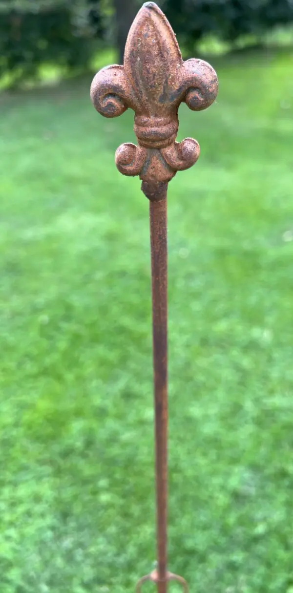 Plantensteun Franse Lelie met 2 ogen, 114,5 cm. PS530 - Afbeelding 4