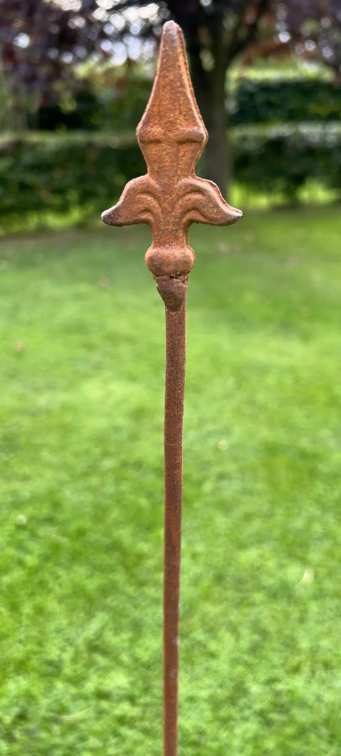Plantensteun Franse Lelie met 2 ogen, 116 cm. PS531
