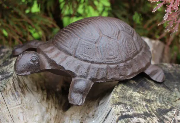 Dierenbeeld schildpad, gietijzer, groot  SG315 - Afbeelding 5