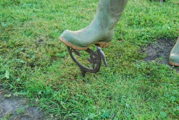 Schoenschraper, laarzenschraper vogels met pin, gietijzer BR07 - Afbeelding 5