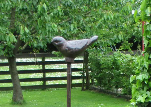Plantensteun vogel met 3 ogen, 175 cm. PY26V-1