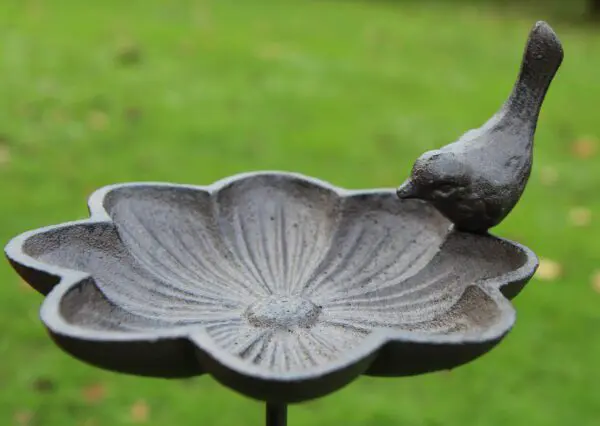 Tuinsteker bloem, vogelschaal VB492 - Afbeelding 2