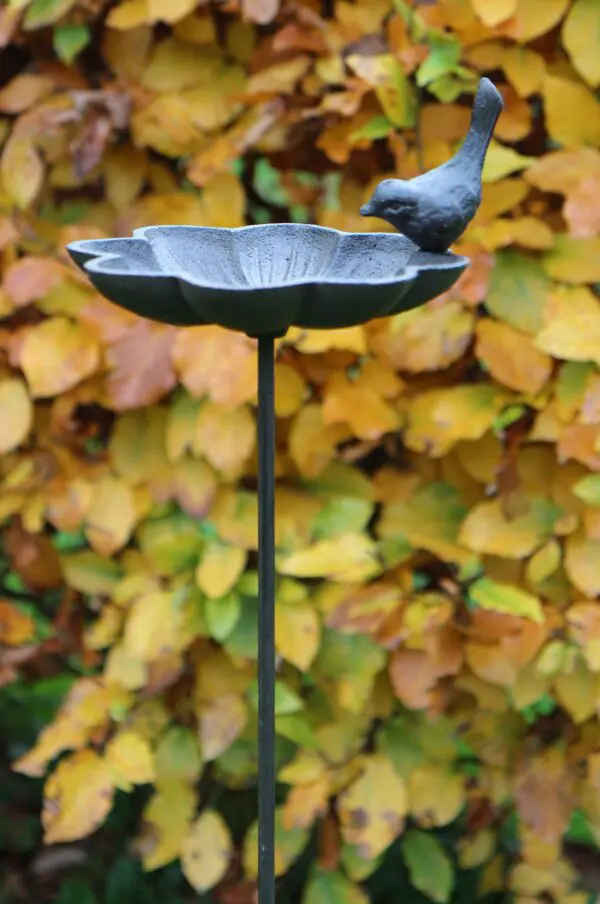 Tuinsteker bloem, vogelschaal VB492