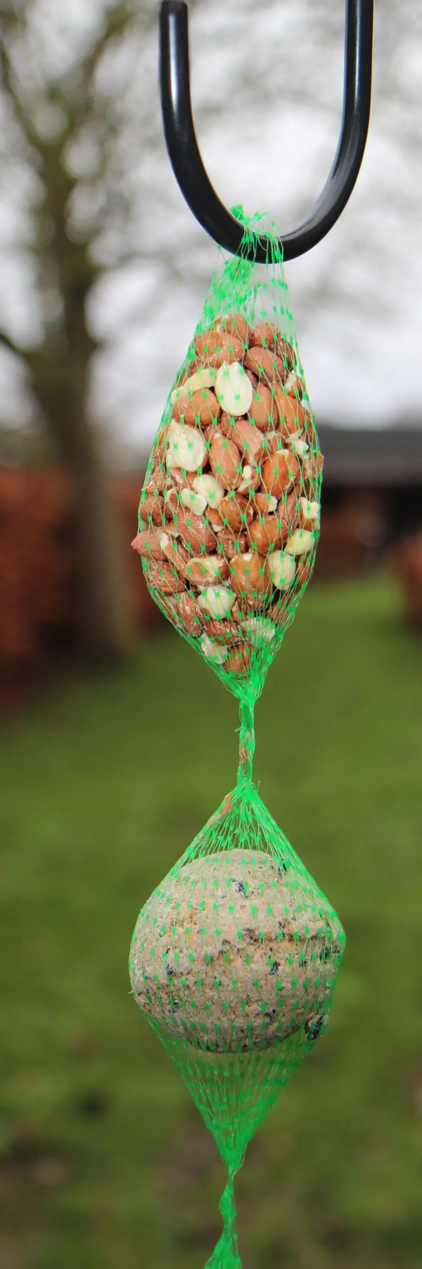 Vogelvoer, slinger met vetbollen en pinda's FB950 - Afbeelding 3