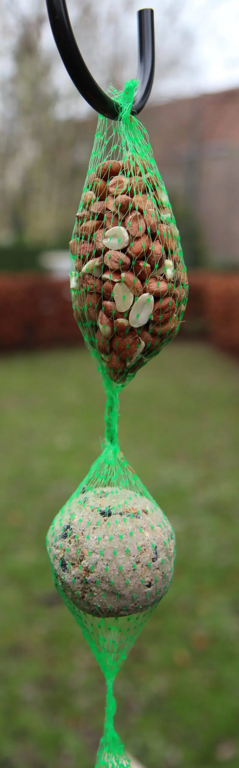 Vogelvoer, slinger met vetbollen en pinda's FB950 - Afbeelding 4