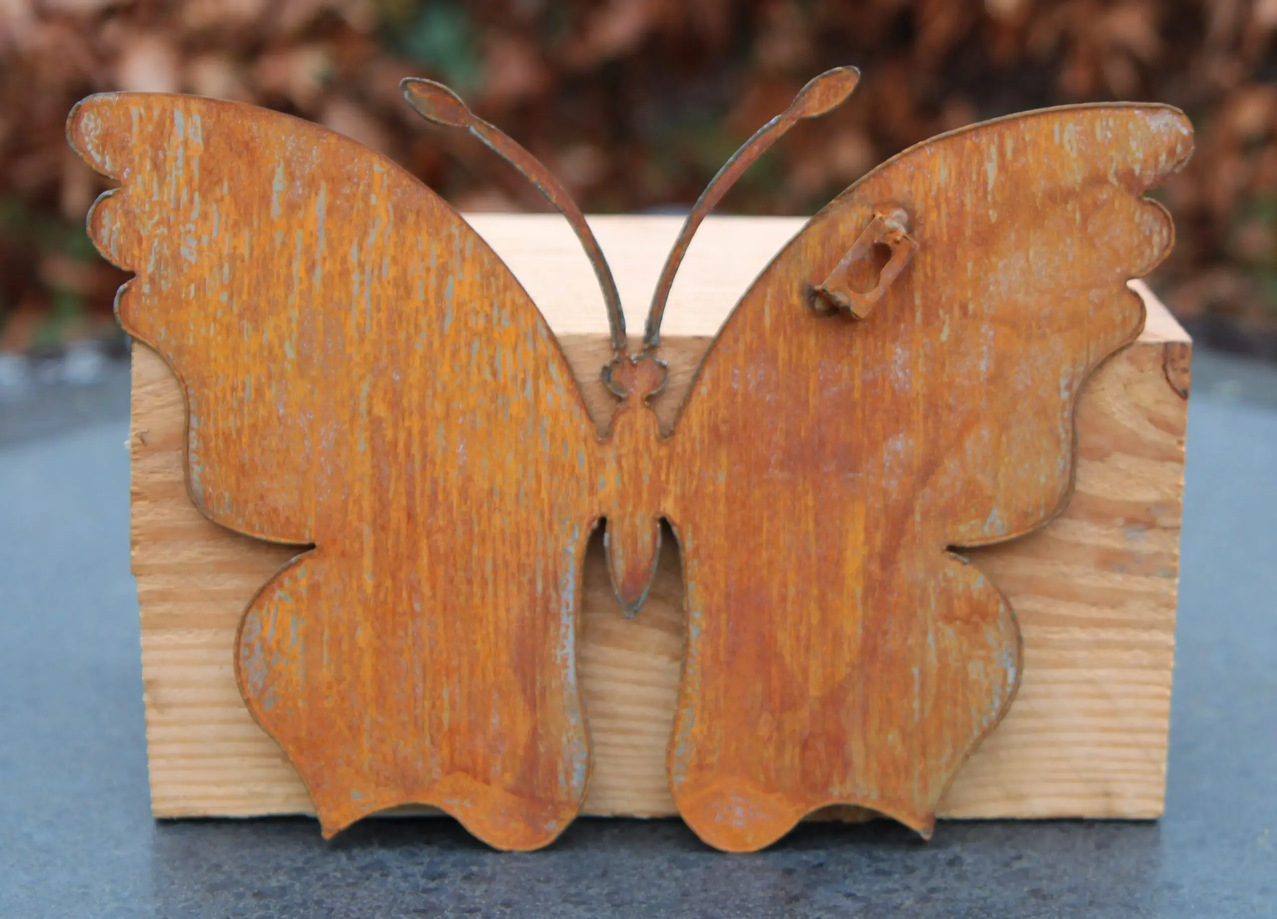 Muurvlinder, vlinder, roestig metaal, M    MV283A - Afbeelding 3