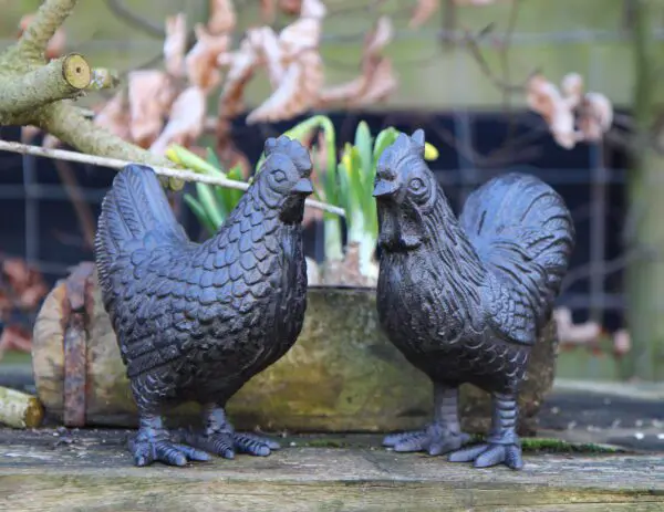 Dierenbeelden kip en haan set, gietijzer KGS278