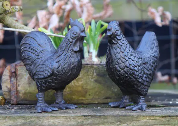 Dierenbeelden kip en haan set, gietijzer KGS278 - Afbeelding 4