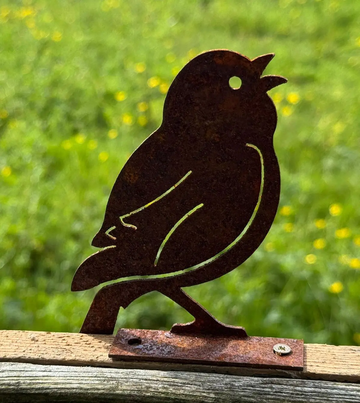 Silhouet vogel schroefbaar op schutting, roestig metaal MV144 - Afbeelding 2