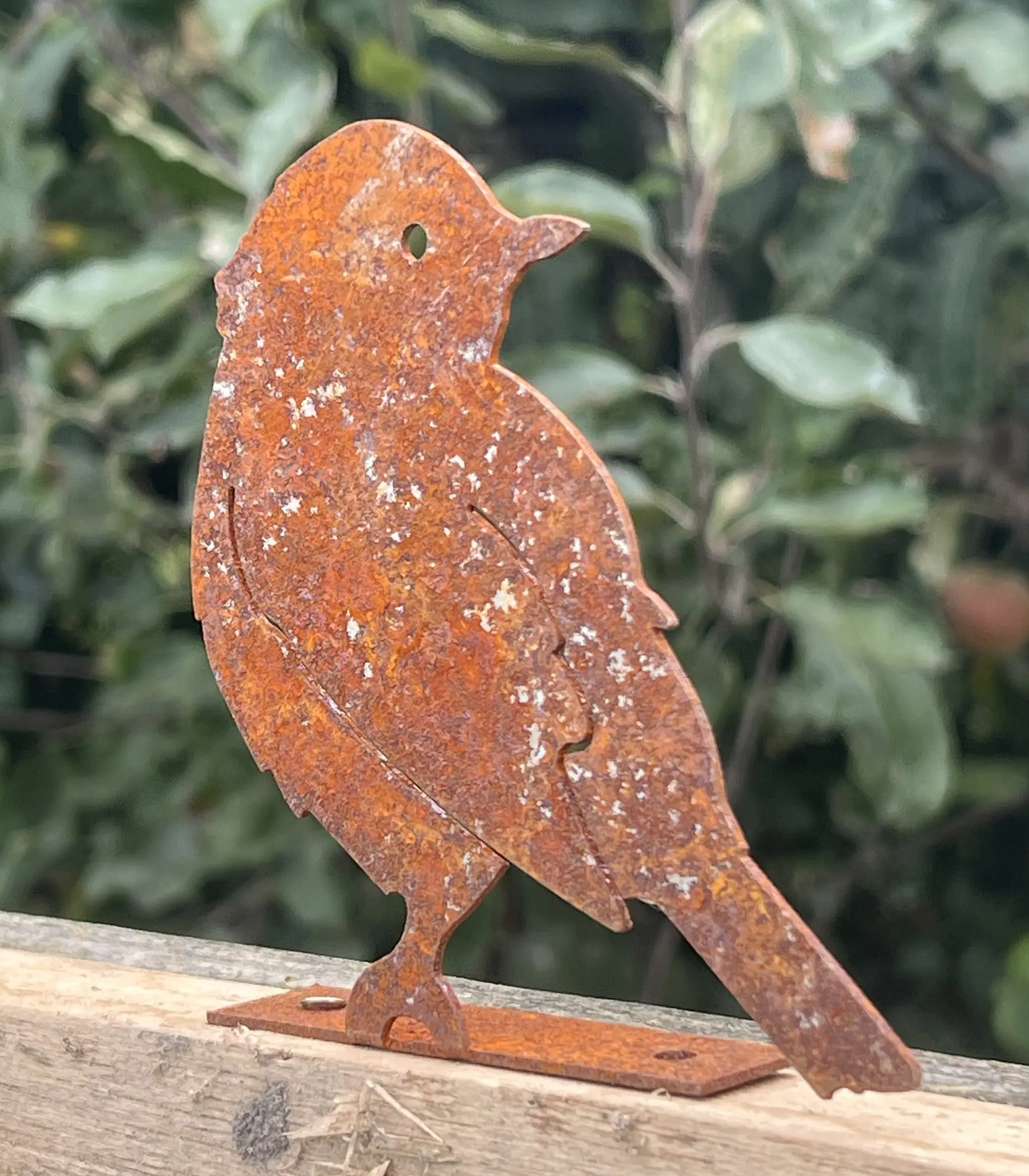 Silhouet vogel schroefbaar op schutting, roestig metaal MV148 - Afbeelding 6