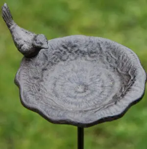 Tuinsteker vogelschaal, vogelbad met vogel  VB353