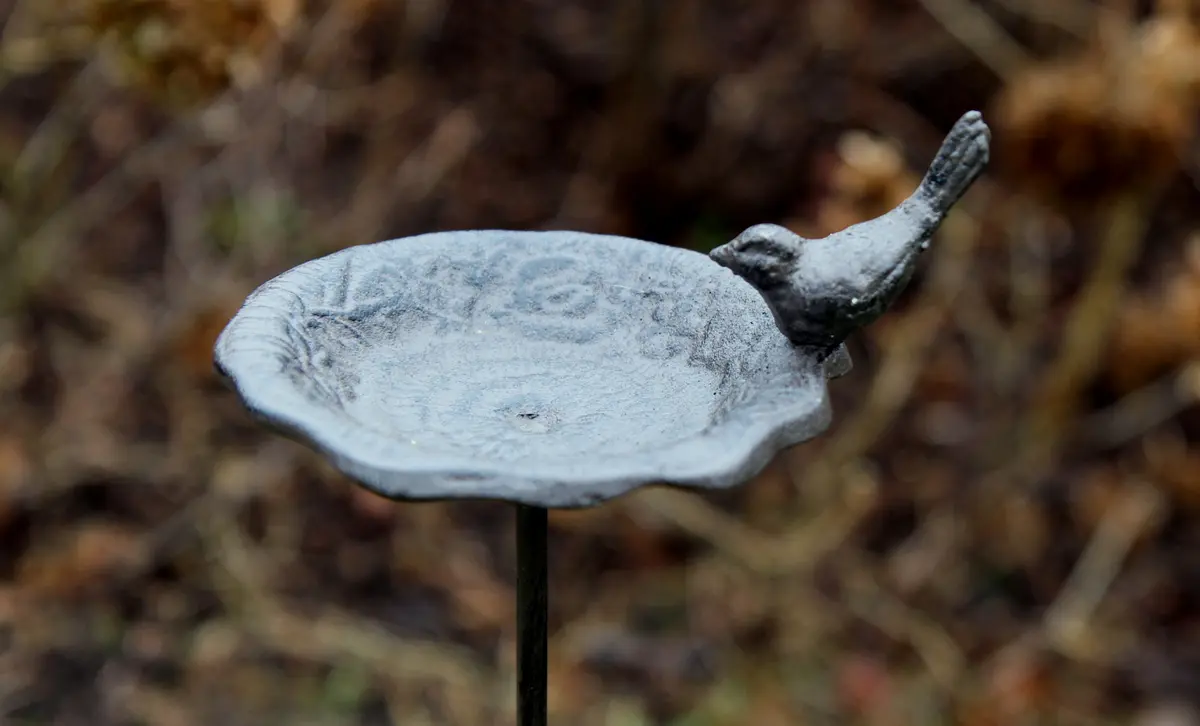 Tuinsteker vogelschaal, vogelbad met vogel VB353 - Afbeelding 2