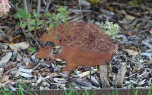 Tuinsteker egel, metaal  SE239