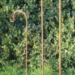 Tuinhaak, Herdersstaf Hoogte: 80cm.