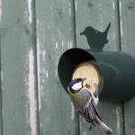 Pindakaashuisje Vogel, Metaal, Groen