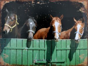 Decoratiebord met 4 Paardenhoofden, Metaal