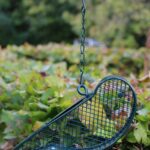 Vogelvoerhanger, Voederkorf Vogel voor Pinda’s, Groen, Staal