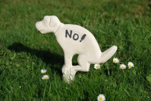 Hondenbordje: NO, hier niet poepen, gietijzer, groot, wit HB14