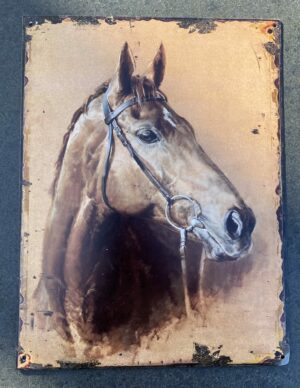 Decoratiebord Paard, Paardenhoofd, Metaal DBP415