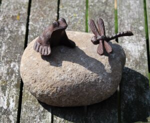 Kikker en Libelle op een kei/steen