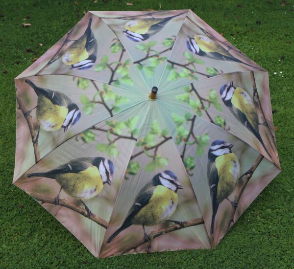 Paraplu vogel, Pimpelmees     TP135D - Afbeelding 5