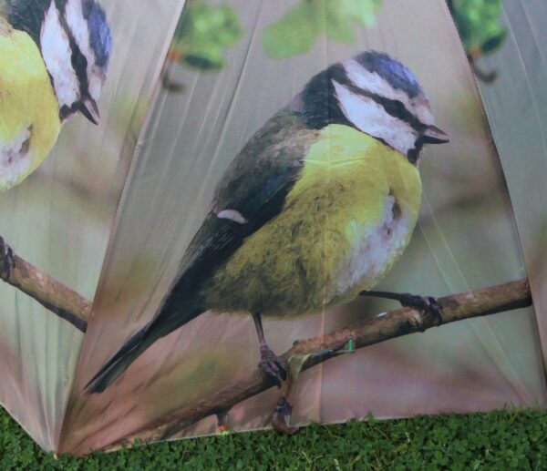 Paraplu vogel, Pimpelmees     TP135D - Afbeelding 4