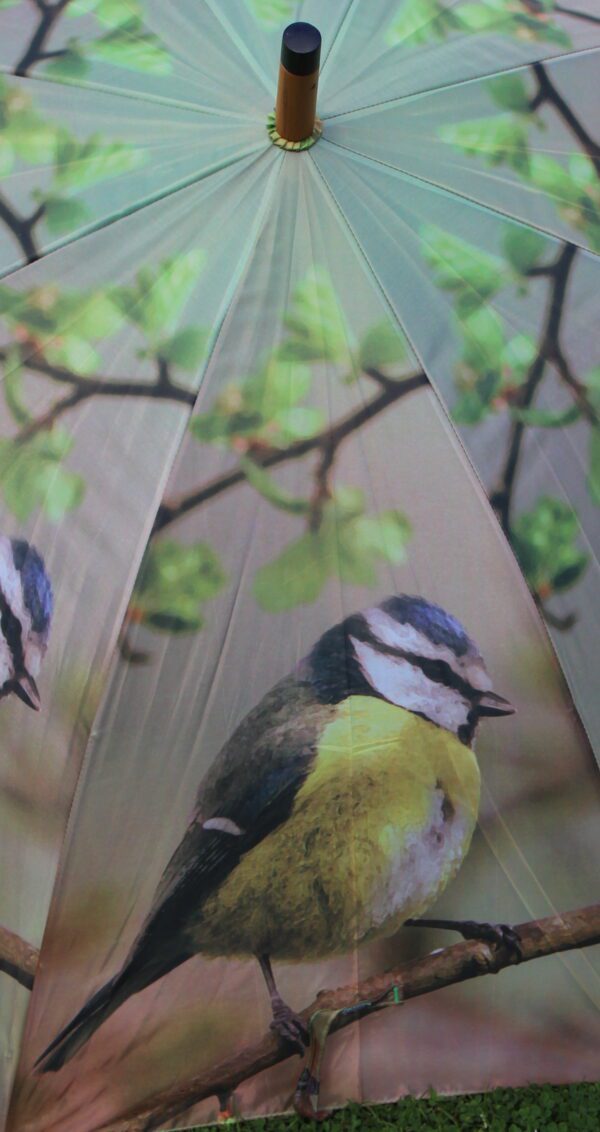Paraplu vogel, Pimpelmees     TP135D - Afbeelding 6
