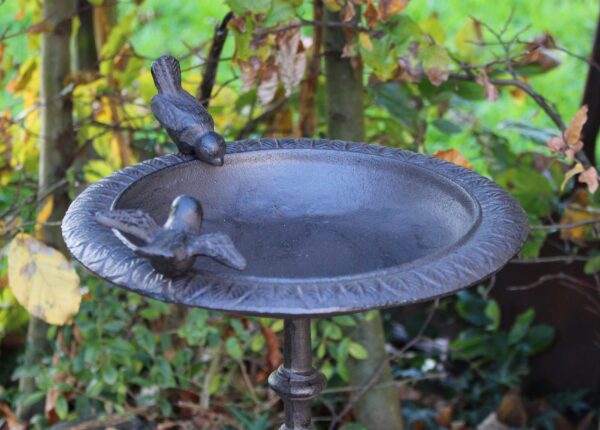 Waterschaal, vogelbad met vogel op voet , gietijzer   VB135 - Afbeelding 2