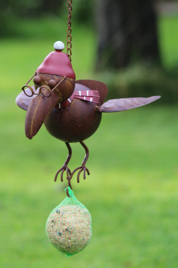 Vetbolhanger, vogelvoerhanger vogel, Raaf, bruin, groot    VH341 - Afbeelding 3