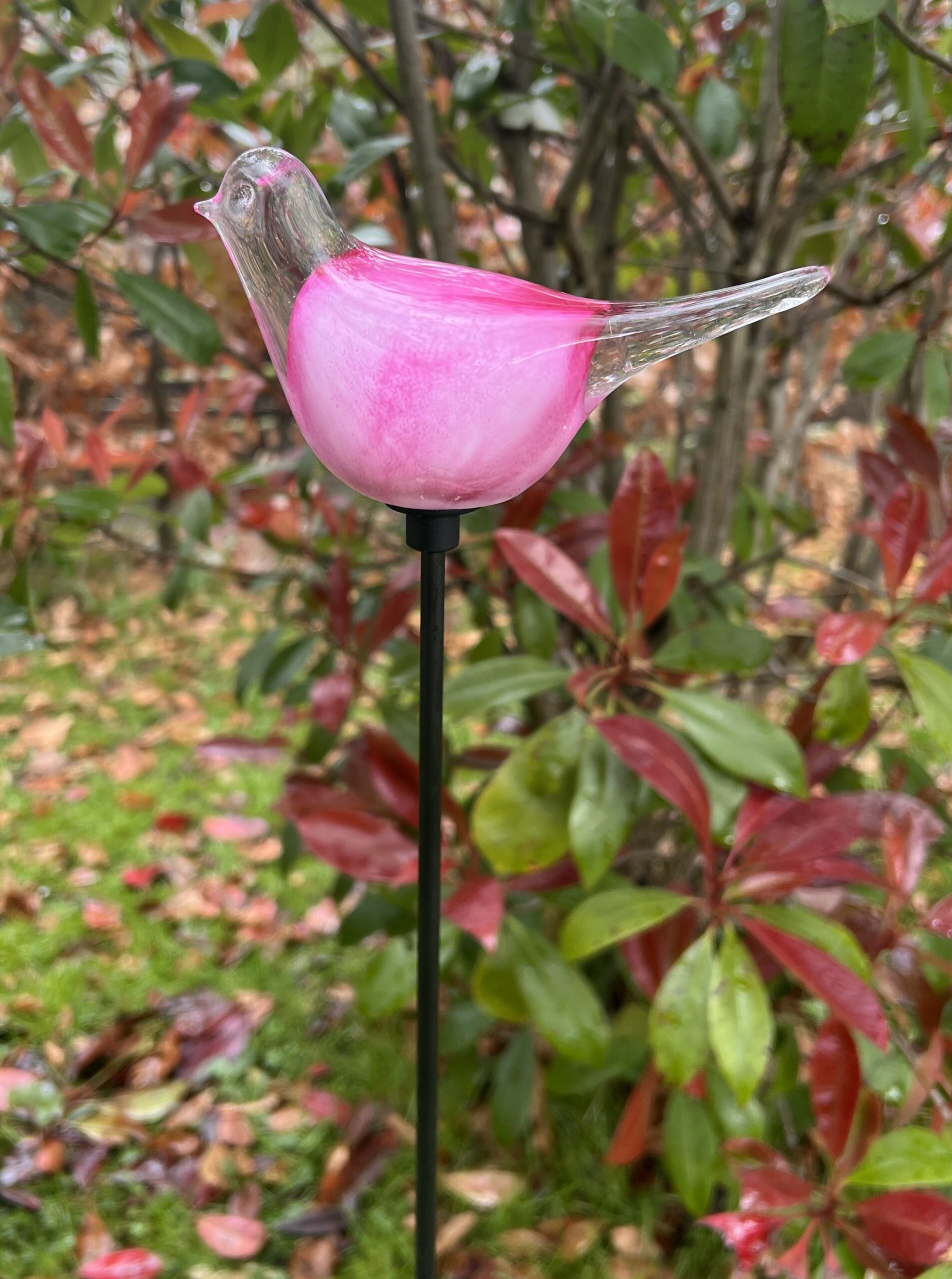 Toezicht houden Vier Het formulier Tuinsteker Vogel van Glas, Roze | Robanjer Tuindecoratie