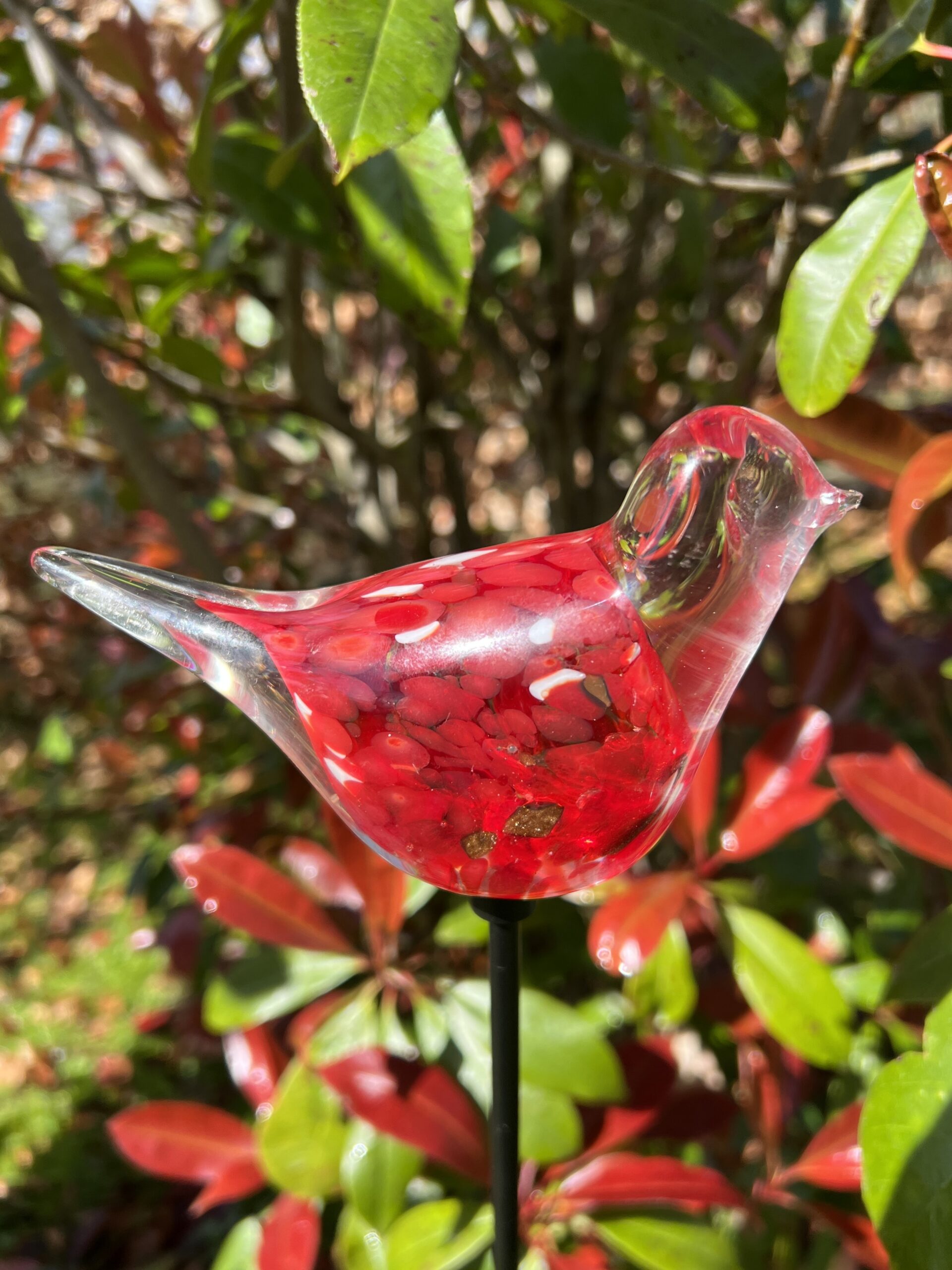 Vogel van Glas, Rood Tuindecoratie