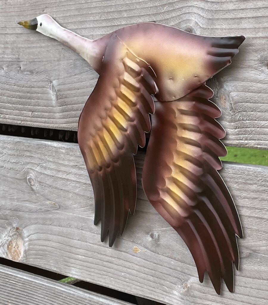 Vind tuindecoratie paard op - februari 2026